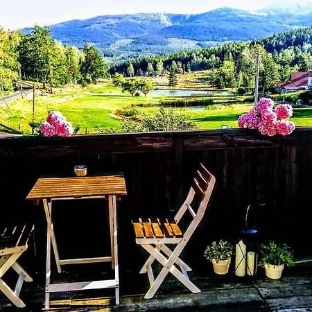 Mariano Michalowice *